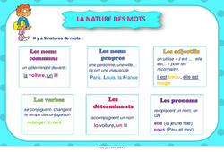 La nature des mots - Affiche : 5ème, 6ème, 7ème Harmos - PDF à imprimer