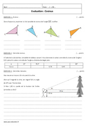 Cosinus - Examen Contrôle : 10ème Harmos - PDF à imprimer