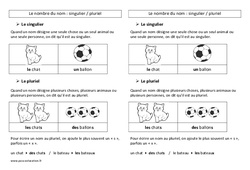 Nombre des noms - Cours, Leçon de grammaire : 5ème Harmos - PDF gratuit à imprimer