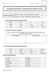 Evaluation Genre et nombre du nom - Ce2 - Evaluation - Bilan - PDF à imprimer