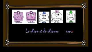 Accords dans le groupe nominal - Classe inversée : 6ème Harmos