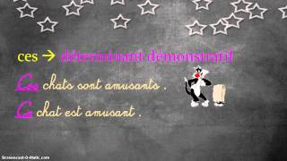 Homophones grammaticaux - Classe inversée : 6ème Harmos