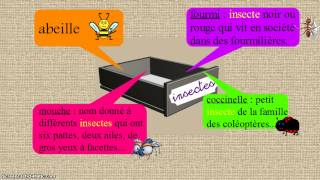 Vidéo Mot étiquette ou nom générique - Classe inversée : 5ème Harmos