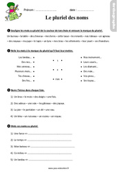 Le pluriel des noms - Étude de la langue - Exercices avec les corrigés : 5ème Harmos - PDF à imprimer