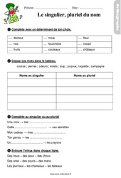 Le singulier, pluriel du nom - Étude de la langue - Exercices avec les corrigés : 4ème Harmos - PDF à imprimer