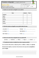 Le singulier, pluriel du nom - Étude de la langue - Examen Evaluation avec les corrigés : 4ème Harmos - PDF à imprimer