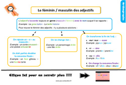 Le féminin, masculin de l’adjectif - Cours, Leçon, trace écrite : 4ème Harmos - PDF gratuit à imprimer