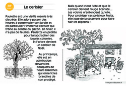 Le cerisier - Lecture compréhension - Histoire illustrée - Niveau 3 : 3eme Harmos - PDF à imprimer