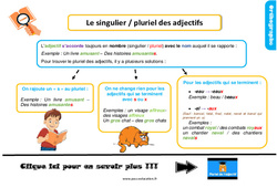 Le singulier / pluriel des adjectifs - Cours, Leçon, trace écrite : 4ème Harmos - PDF gratuit à imprimer