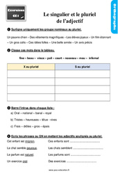 Le singulier / pluriel des adjectifs - Exercices, révisions : 4ème Harmos - PDF à imprimer