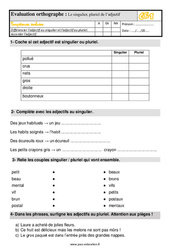 Le singulier / pluriel des adjectifs - Évaluation, bilan : 4ème Harmos - PDF à imprimer