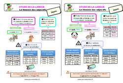 Le féminin des adjectifs - Étude de la langue - Cours, Leçon : 4ème Harmos - PDF gratuit à imprimer