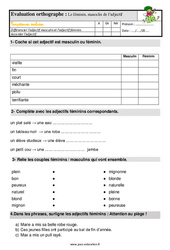 Le féminin des adjectifs - Étude de la langue - Examen Evaluation avec les corrigés : 4ème Harmos - PDF à imprimer