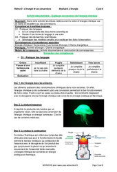 Quelques conversions de l'énergie chimique - Activité documentaire avec les corrections : 11ème Harmos - PDF à imprimer