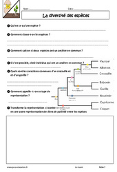 La diversité des espèces - Examen Evaluation avec les corrections : 8ème Harmos - PDF à imprimer