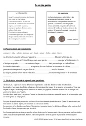 Vie des gaulois - Exercices - Antiquité - Fiches Document, questionnaire et correction : 5ème Harmos - PDF à imprimer