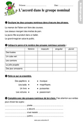 Accord dans le groupe nominal - Étude de la langue - Exercices avec les corrigés : 4ème Harmos - PDF à imprimer