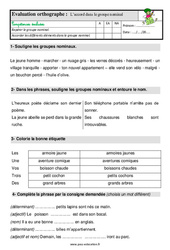 Accord dans le groupe nominal - Étude de la langue - Examen Evaluation avec les corrigés : 4ème Harmos - PDF à imprimer