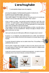 Les araignées - Lecture thématique : 5ème Harmos - PDF à imprimer