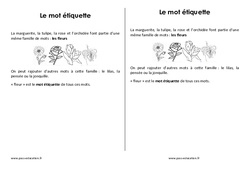 Mot étiquette - Cours, Leçon : 5ème Harmos - PDF gratuit à imprimer