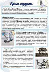 Les pigeons - Lecture thématique : 4ème, 5ème, 6ème Harmos - PDF à imprimer