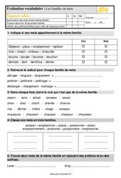 Les familles de mots - Évaluation, bilan : 4ème Harmos - PDF à imprimer