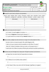 Le nom - Fiches nom commun / nom propre - Étude de la langue - Examen Evaluation avec les corrections : 5ème Harmos - PDF à imprimer