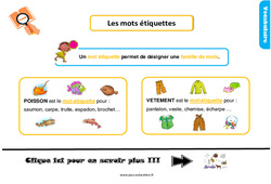 Mots étiquettes - Cours, Leçon, trace écrite : 4ème Harmos - PDF à imprimer