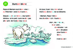 Ourson blanc - Lecture compréhension - Histoire illustrée - Niveau 2 : 3eme Harmos - PDF à imprimer