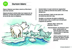 Ourson blanc - Lecture compréhension - Histoire illustrée - Niveau 2 : 4ème Harmos - PDF à imprimer