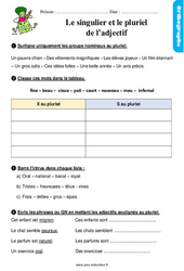 Le singulier, pluriel de l’adjectif - Étude de la langue - Exercices avec les corrigés : 4ème Harmos - PDF à imprimer