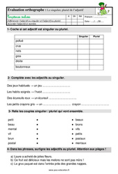 Le singulier, pluriel de l’adjectif - Étude de la langue - Examen Evaluation avec la correction  : 4ème Harmos - PDF à imprimer