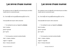 Lettres finales muettes - Cours, Leçon : 5ème Harmos - PDF gratuit à imprimer