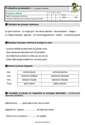 Le groupe nominal - Étude de la langue - Examen Evaluation avec la correction : 4ème Harmos - PDF à imprimer