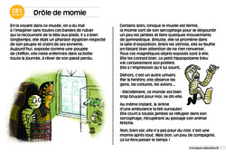 Drôle de momie - Lecture compréhension - Histoire illustrée - Niveau 3 : 4ème Harmos - PDF à imprimer