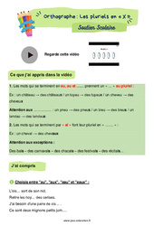 Les pluriels en « X » - Soutien scolaire pour les élèves en difficulté. : 6ème Harmos - PDF à imprimer