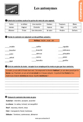 Les antonymes - Exercices, révisions : 6ème Harmos - PDF à imprimer