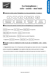 Les homophones - Fiches ce /se - ces/ses - mais/mes - Exercices, révisions : 6ème Harmos - PDF à imprimer