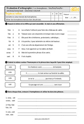 Les homophones lexicaux- Fiches foie/fois/Foix/foi - sot/seau/sceau/saut - voie/voix/ vois/voit - Évaluation, bilan : 6ème Harmos - PDF à imprimer