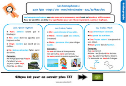 Les homophones lexicaux- Fiches pin / pain - vingt / vin mer / mère / maire au / eau / os / haut - Cours, Leçon, trace écrite : 6ème Harmos - PDF gratuit à imprimer