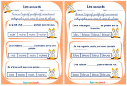 Accord de l'adjectif qualificatif - Rituels - Orthographe : 4ème, 5ème Harmos - PDF à imprimer