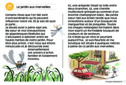 Le jardin aux merveilles - Lecture compréhension - Histoire illustrée - Niveau 3 : 3eme Harmos - PDF à imprimer