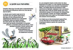 Le jardin aux merveilles - Lecture compréhension - Histoire illustrée - Niveau 3 : 4ème Harmos - PDF à imprimer