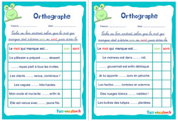 Les homophones - Fiches son / sont - Rituels - Orthographe : 4ème, 5ème Harmos - PDF à imprimer