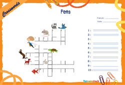 Pets - Mots fléchés - Lexique / vocabulaire - Crosswords : 6ème, 7ème Harmos - PDF à imprimer