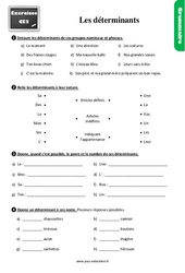 Les déterminants - Exercices, révisions : 5ème Harmos - PDF à imprimer
