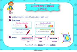 L’accord dans le groupe nominal - Affiche : 6ème, 7ème Harmos - PDF à imprimer