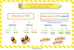 L’accord dans le groupe nominal - Fiches en genre et en nombre - Affiche : 3eme, 4ème Harmos - PDF à imprimer