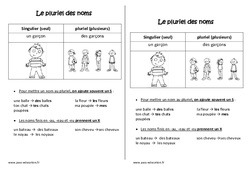 Pluriel des noms - Cours, Leçon : 4ème Harmos - PDF gratuit à imprimer