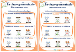 Déterminant, nom et verbe - Rituels - La classe grammaticale : 4ème, 5ème Harmos - PDF à imprimer